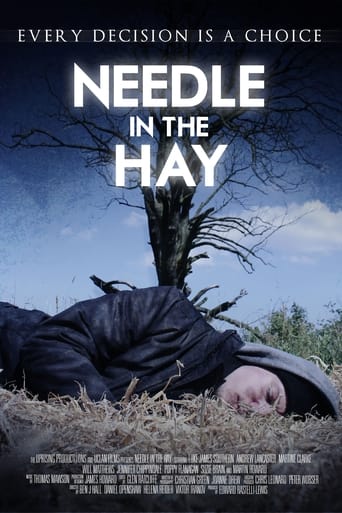 Poster of Needle in the Hay