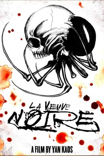 Poster of La Veuve Noire