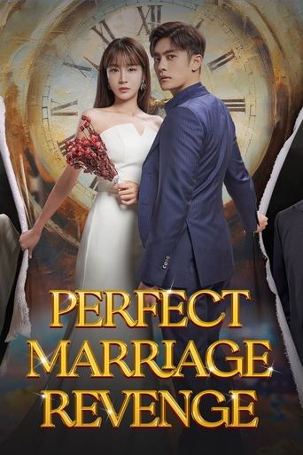 Poster of Perfect Marriage Revenge