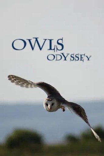 Poster of Owl's Odyssey