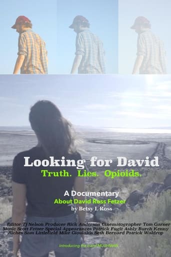 Poster of Looking for David