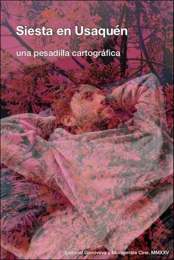 Poster of Siesta en Usaquén: una pesadilla cartográfica