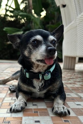 Portrait of Cuki