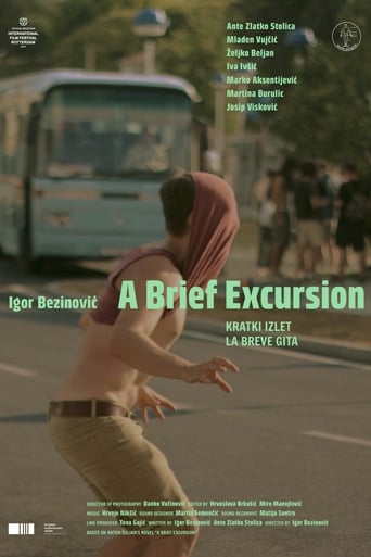 Poster of A Brief Excursion