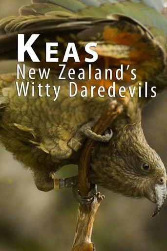 Poster of Keas - New Zealand's Witty Daredevils