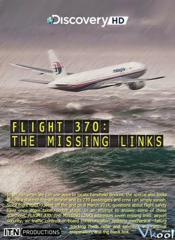 Poster of Flight 370: The Missing Links