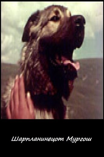 Poster of Murgosh - The Sharplaninec