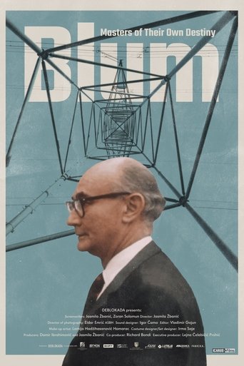 Poster of Blum - Masters of Their Own Destiny
