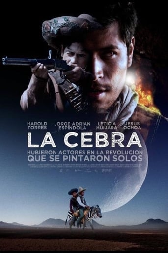 Poster of The Zebra