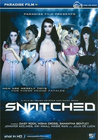 Poster of Snatched