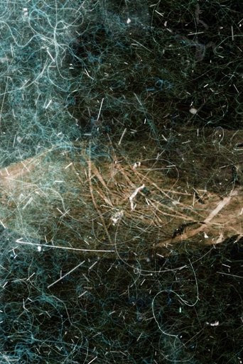 Poster of Dust Poetry