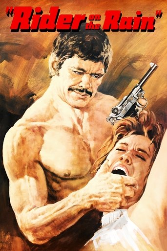 Poster of Rider on the Rain