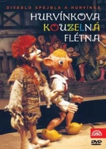 Poster of Hurvínkova kouzelná flétna