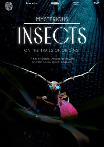 Poster of Mysterious Origins of Insects