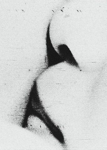 Love Poster of Love