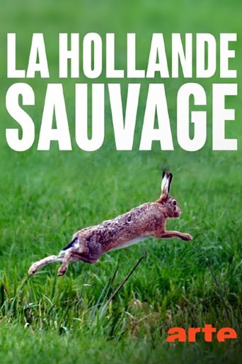 Poster of La Hollande sauvage -  La faune des polders