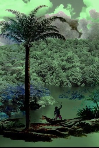 Poster of A conquista da floresta