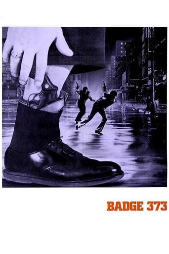 Poster of Badge 373