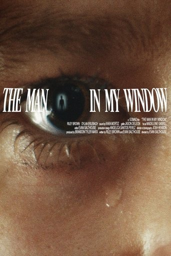 Poster of The Man In My Window