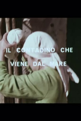 Poster of Il contadino che viene dal mare