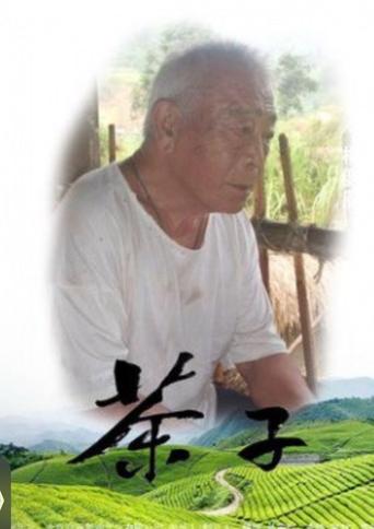 Poster of 茶子