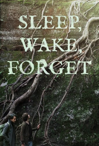 Poster of Sleep, Wake, Forget