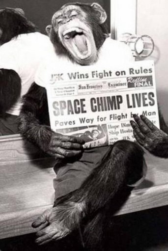 Poster of Spacechimp