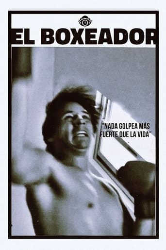 Poster of The Boxer