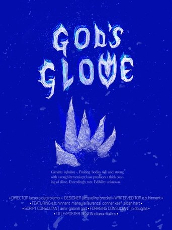 Poster of God's Glove