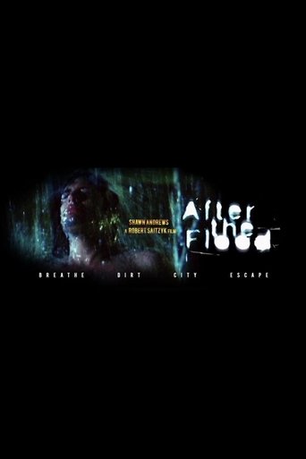 Poster of After the Flood