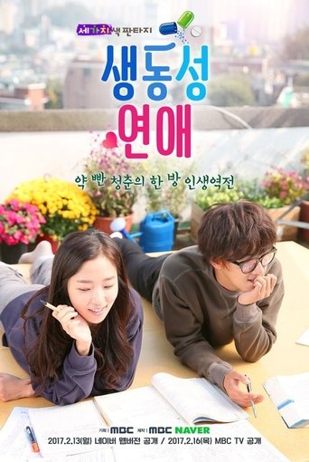 Poster of Romance Full of Life