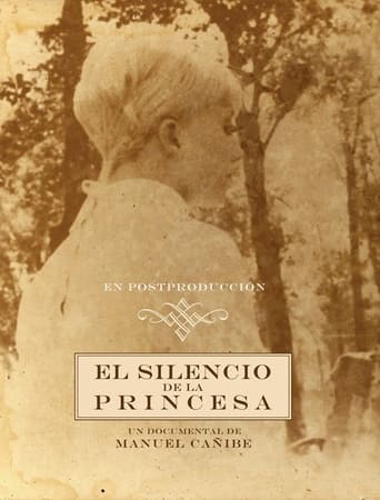 Poster of The Silence of the Princess