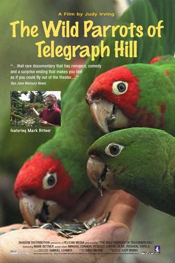 Poster of The Wild Parrots of Telegraph Hill