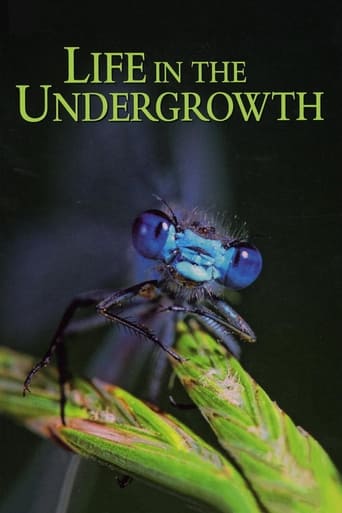 Poster of Life in the Undergrowth