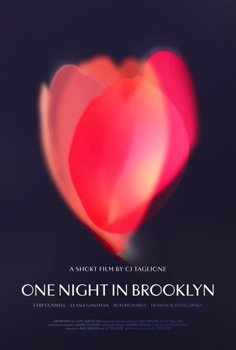Poster of One Night in Brooklyn