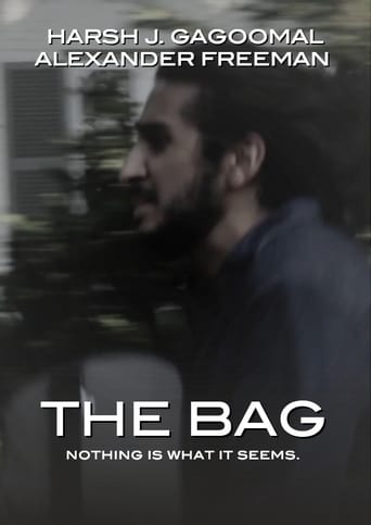 Poster of The Bag