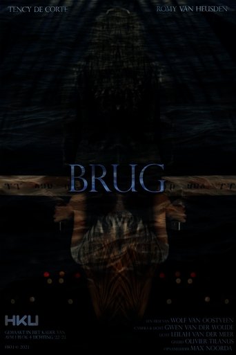 Poster of Brug