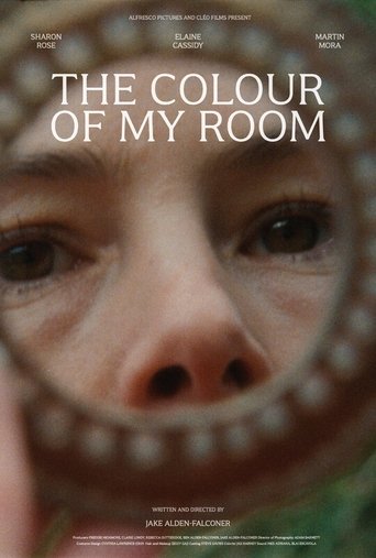 Poster of The Colour of My Room