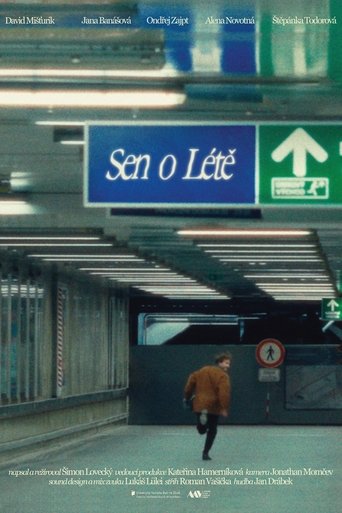 Poster of Sen o Létě