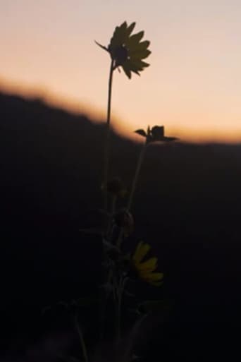 Poster of The Dawn Chorus