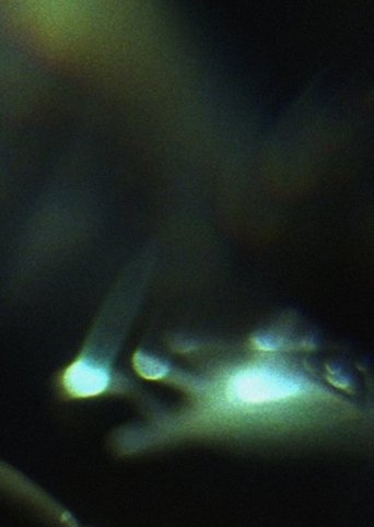 Prisms Poster of Prisms