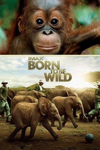 Poster of Born to Be Wild