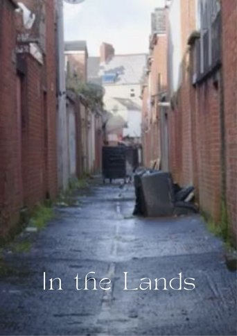 Poster of In the Lands