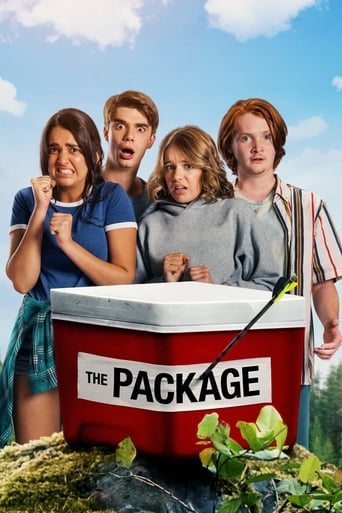 Poster of The Package