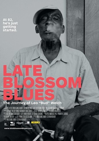 Poster of Late Blossom Blues