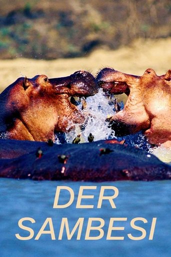 Poster of Der Sambesi