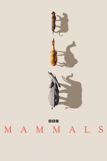 Poster of Mammals