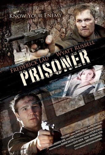 Poster of Prisoner