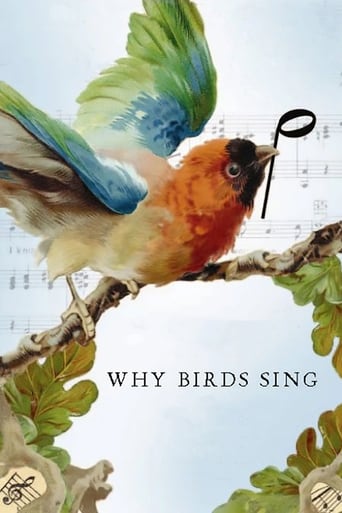 Poster of Why Birds Sing