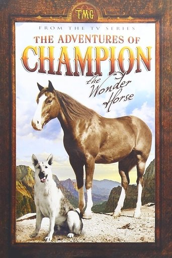 Poster of The Adventures of Champion